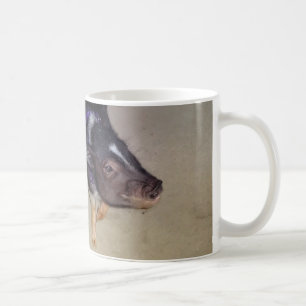 Lustiger Topf aufgeblähte Schwein-Fotografie-Tass Kaffeetasse