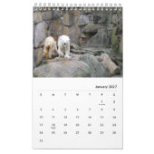 Lustiger u. Tiergewohnheitskalender Kalender (Jan 2027)