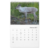 Lustiger u. Tiergewohnheitskalender Kalender (Feb 2027)