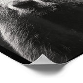 Lustiger Ufo Alien entführt Groundhog Süßer Waldmu Poster (Ecke)