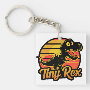 Lustiger Vintage-Dinosaurier Trex bei Sonnenunterg Schlüsselanhänger