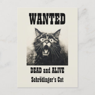 Lustiger Vintage-Wanted-Poster Schrödingers Katze Postkarte