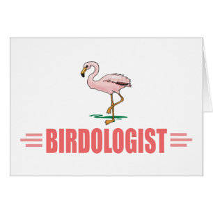 Lustiger Vogelbeobachtung Flamingo