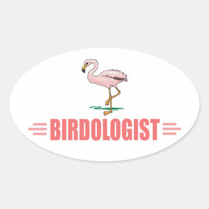 Lustiger Vogelbeobachtung Flamingo Ovaler Aufkleber
