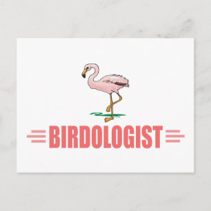 Lustiger Vogelbeobachtung Flamingo Postkarte