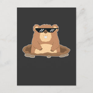 Lustiger Waldmurmeltier mit Sonnenbrille Humor Postkarte