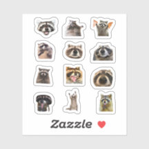 Lustiger Waschbär-Meme-Aufkleber-Set-Bundle