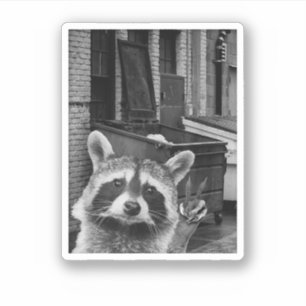 Lustiger Waschbär Selfie Waschbär Lustiger Waschbä Aufkleber