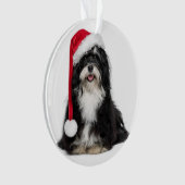 Lustiger WeihnachtenHavanese Hund mit Ornament (Vorderseite)