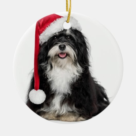 Lustiger WeihnachtenHavanese Hund mit Silbernes Ornament (Vorne)