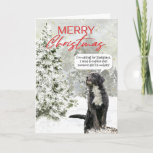 Lustiger Weihnachtsgruß mit Hund, der auf den Weih Feiertagskarte