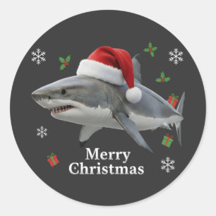 Lustiger Weihnachtshai mit Weihnachtsmannmütze Runder Aufkleber