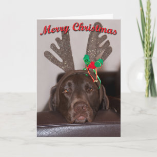 Lustiger Weihnachtslabrador mit glitzernden Geweih Feiertagskarte