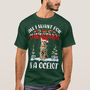 Lustiger Weihnachtsmann-Hut Alles, was ich zu Weih T-Shirt