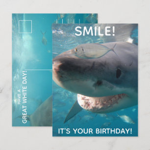 Lustiger Weißer-Hai-Geburtstag Postkarte