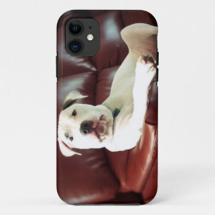 lustiger weißer Pitbull-Hund auf dem Sofa Case-Mate iPhone Hülle