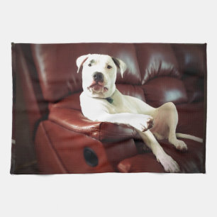 lustiger weißer Pitbull-Hund auf dem Sofa Geschirrtuch