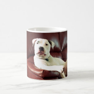 lustiger weißer Pitbull-Hund auf dem Sofa Kaffeetasse