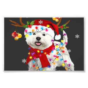 Lustiger Westie-Weihnachts-Tee-Rentier-Weihnachtsl Fotodruck