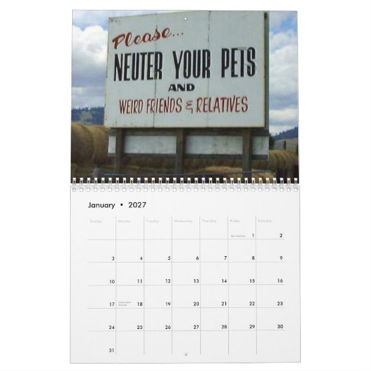 lustiger Zeichenkalender Kalender (Jan 2027)