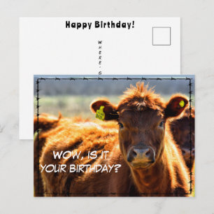 Lustiges Alles Gute zum Geburtstag Land Farm Mail  Postkarte