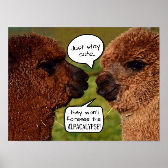 Lustiges Alpaka Alpacalypse Entwerfen Poster Zazzle.de