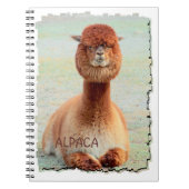 Lustiges Alpaka-Notizbuch Notizblock (Vorderseite)