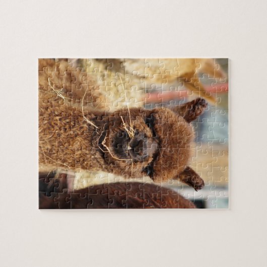 Lustiges Alpaka-Puzzlespiel Isabella Puzzle (Horizontal)