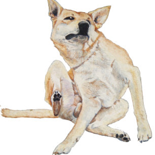 lustiges Bild juckender Hunde mit Slogan Kaffeetasse