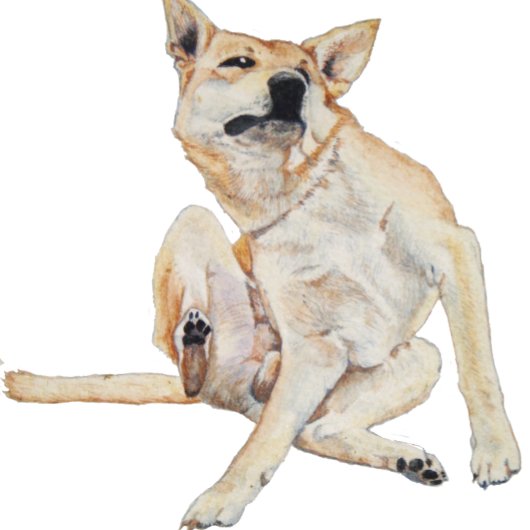 lustiges Bild juckender Hunde mit Slogan Kaffeetasse