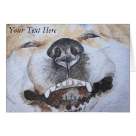 lustiges Bild von akita lächelnd niedlicher Hund