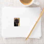 lustiges Bison Adressaufkleber (Insitu)