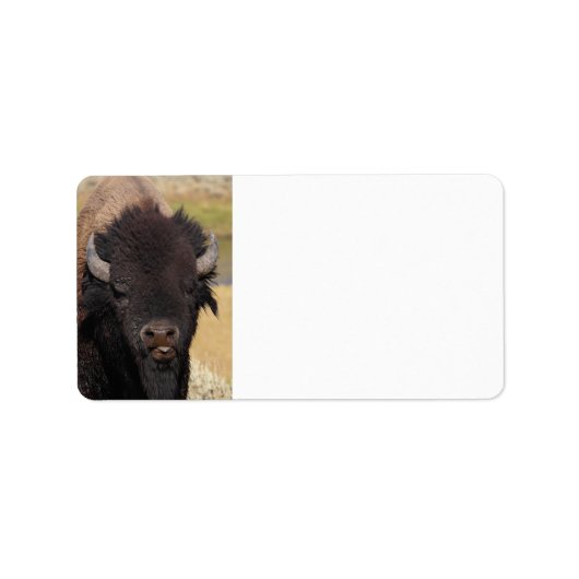 lustiges Bison Adressaufkleber (Vorne)