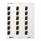 lustiges Bison Adressaufkleber (Vorne)