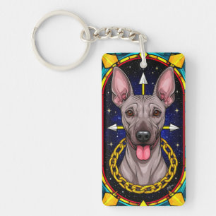 Lustiges Buntglas-Hund mit Sternenhintergrund Schlüsselanhänger