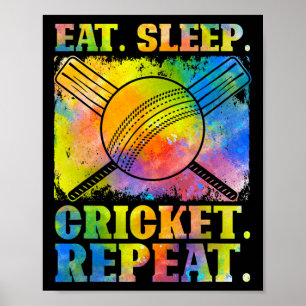 Lustiges Cricket-Wiederholungsfeld Sport für Ll-Sp Poster