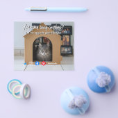 lustiges echtes Anwesen, das die Wohnkatze im Haus Flyer (Einzeln)