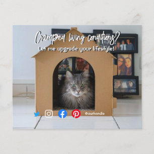 lustiges echtes Anwesen, das die Wohnkatze im Haus Flyer