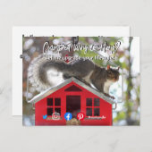 lustiges echtes Anwesen, das mit einem Eichhörnche Postkarte (Vorne/Hinten)