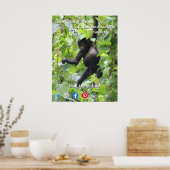 lustiges echtes Anwesen Keine Postkarte Poster (Küche)