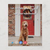 lustiges echtes Anwesen schnuppern beim nächsten Z Flyer (Vorne)