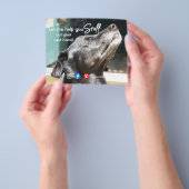 lustiges echtes Anwesen schnuppern beim nächsten Z Flyer (Gruppe)