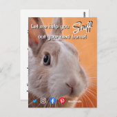 lustiges echtes Anwesen schnuppern beim nächsten Z Postkarte (Vorne/Hinten)