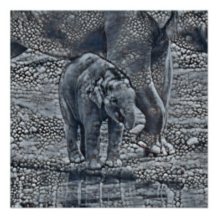 lustiges Elefantenbaby Poster