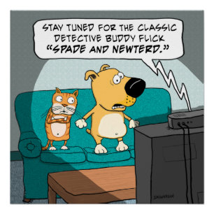 Lustiges erschrockenes Katzen-und Hundeplakat Poster