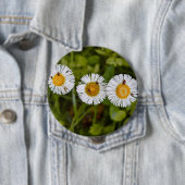 Lustiges Foto von Gänseblümchen mit Käferaugen Button (Beispiel)