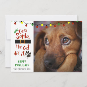 Lustiges Foto von unartigem Hund LIEBER WEIHNACHTS Feiertagskarte