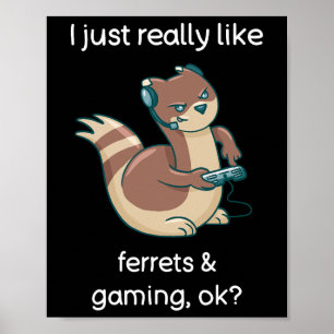 Lustiges Frettchen-Liebhaber-Gamer-Shirt Ich liebe Poster