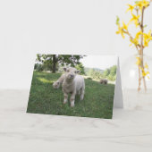 Lustiges Gesicht Karte (Gelbe Blume)