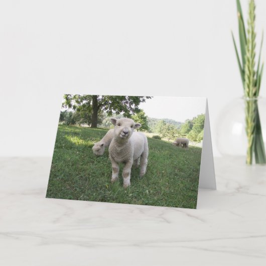 Lustiges Gesicht Karte (Vorderseite)